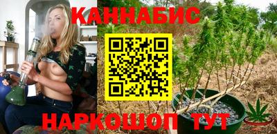 шишки Лесосибирск