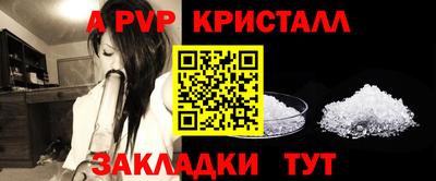 шишки Лесосибирск