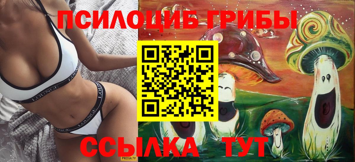 Псилоцибиновые грибы GOLDEN TEACHER  Вход с VPN  Златоуст 