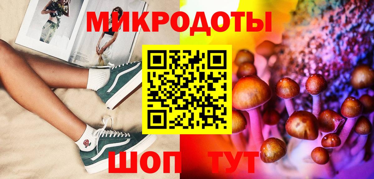 Псилоцибиновые грибы Psilocybe Златоуст
